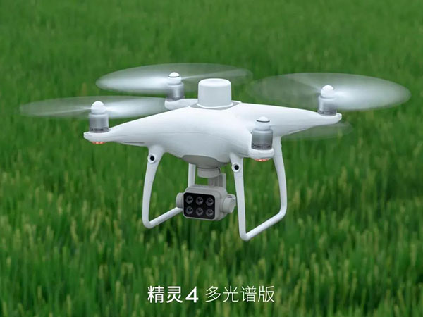 &#20048;&#40060;