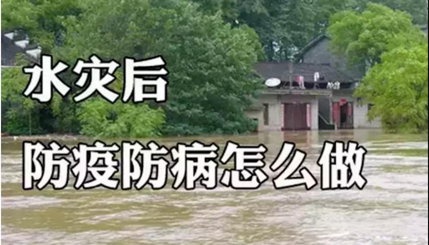 &#20048;&#40060;