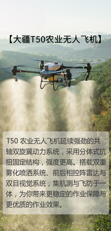 &#20048;&#40060;